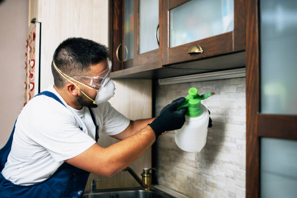 Best Residential Pest Control  in Annandale, MN