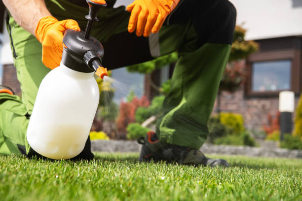 Best Best Pest Control Companies  in Annandale, MN