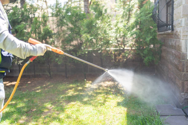 Best Pest Prevention Services  in Annandale, MN