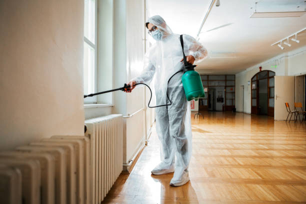 Best Termite Control Services  in Annandale, MN